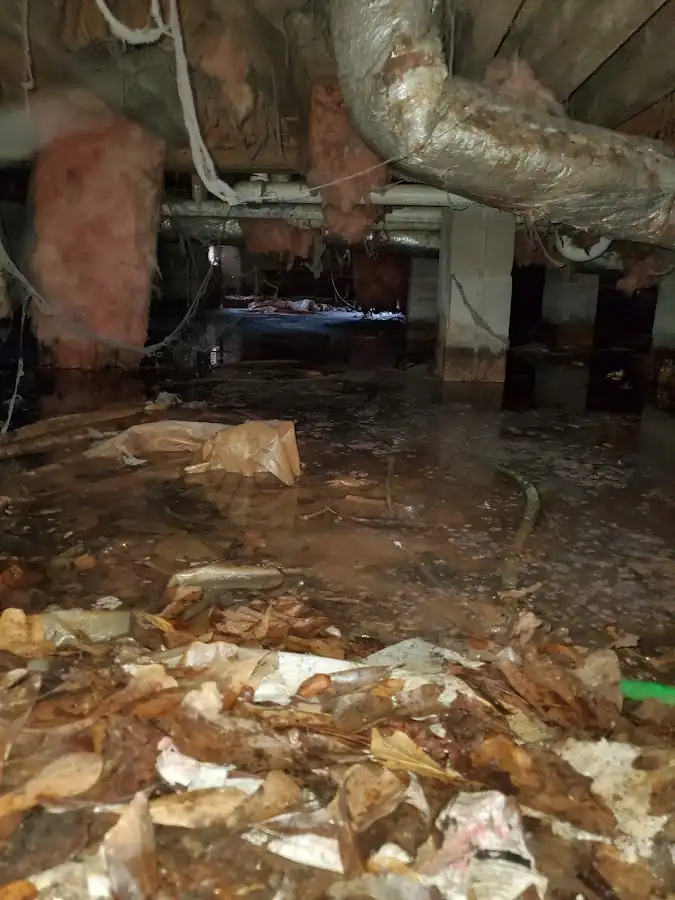 Crawl space flood assessment for Leak Detection & Repair in McComb