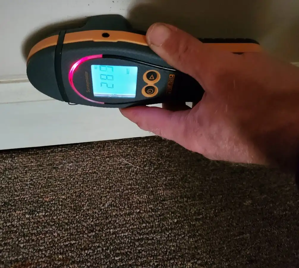 Moisture detection at baseboard during Sewage Cleanup & Sanitation in McComb